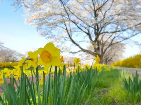 白石市のホテル