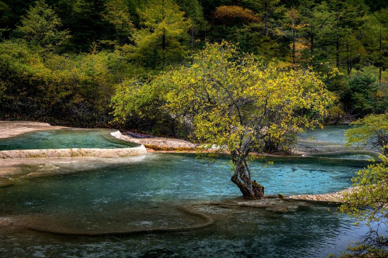 Penjing Pool