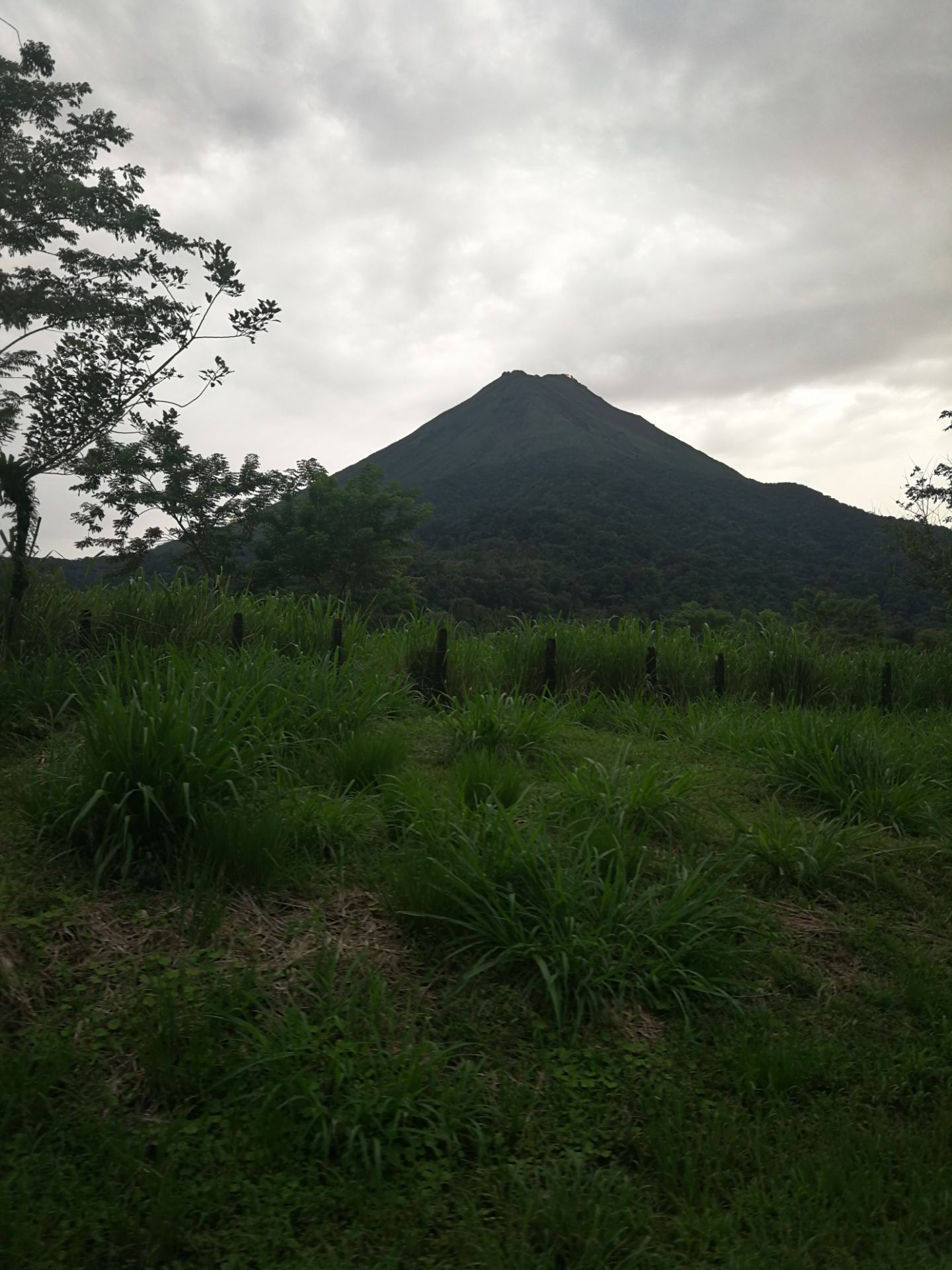 ラ フォルトゥナ Arenal Volcano National Park 評判 案内 トリップドットコム ラ フォルトゥナ Arenal Volcano National Park 評判 案内 トリップドットコム