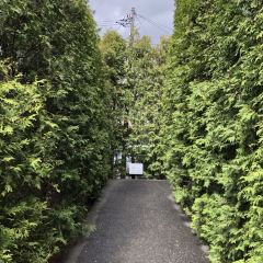 Liuhuating (wulengguo) User Photo