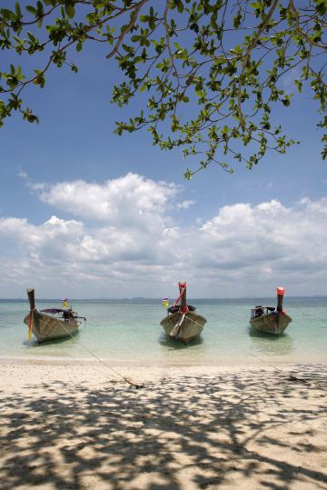 หาดคลองม่วง