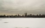 Yeouido Saetgang Ecological Park