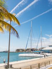 Hamilton Island Marina