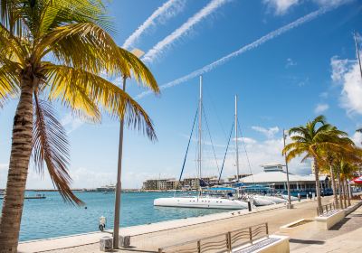 Hamilton Island Marina