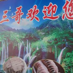 陆川三哥特味馆(鹿寨分店) User Photo