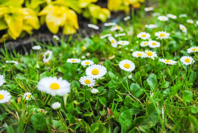 Бутик Отели в г. Яманакако