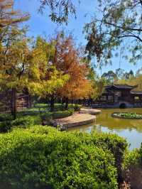 [ 親子好去處] 有一個公園龍鳳寶寶已經去咗四百次! 