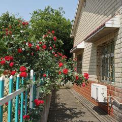 濮塘農家菜館張用戶圖片