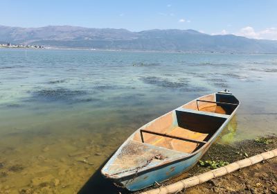 Национальный водно-болотный парк Чангчжоу