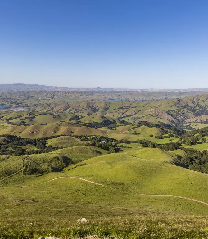 Fremont