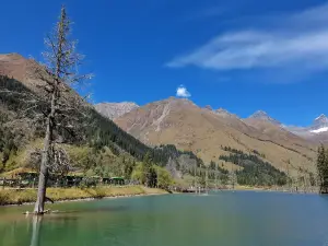 阿米格爾東藏茶餐廳