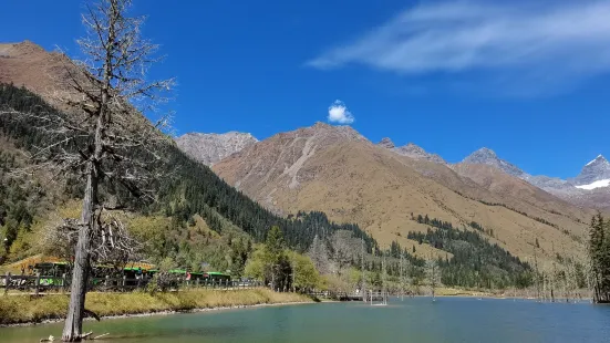 阿米格爾東藏茶餐廳