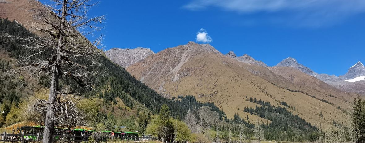 Amige'erdongcangcha Restaurant