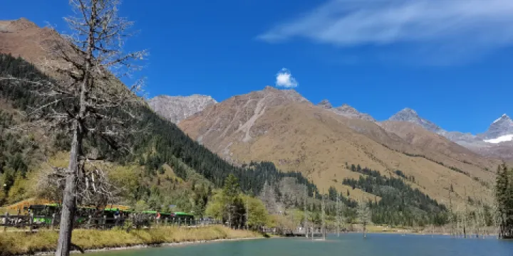 阿米格爾東藏茶餐廳