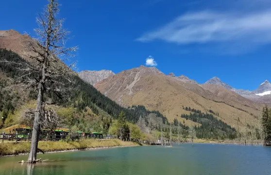 阿米格爾東藏茶餐廳