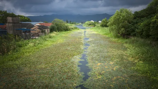 Zhangtianyang Wetland