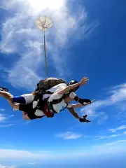 Ready Player One Skydiving Club (Shenzhen Store)