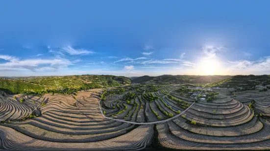 Yijun Terraces