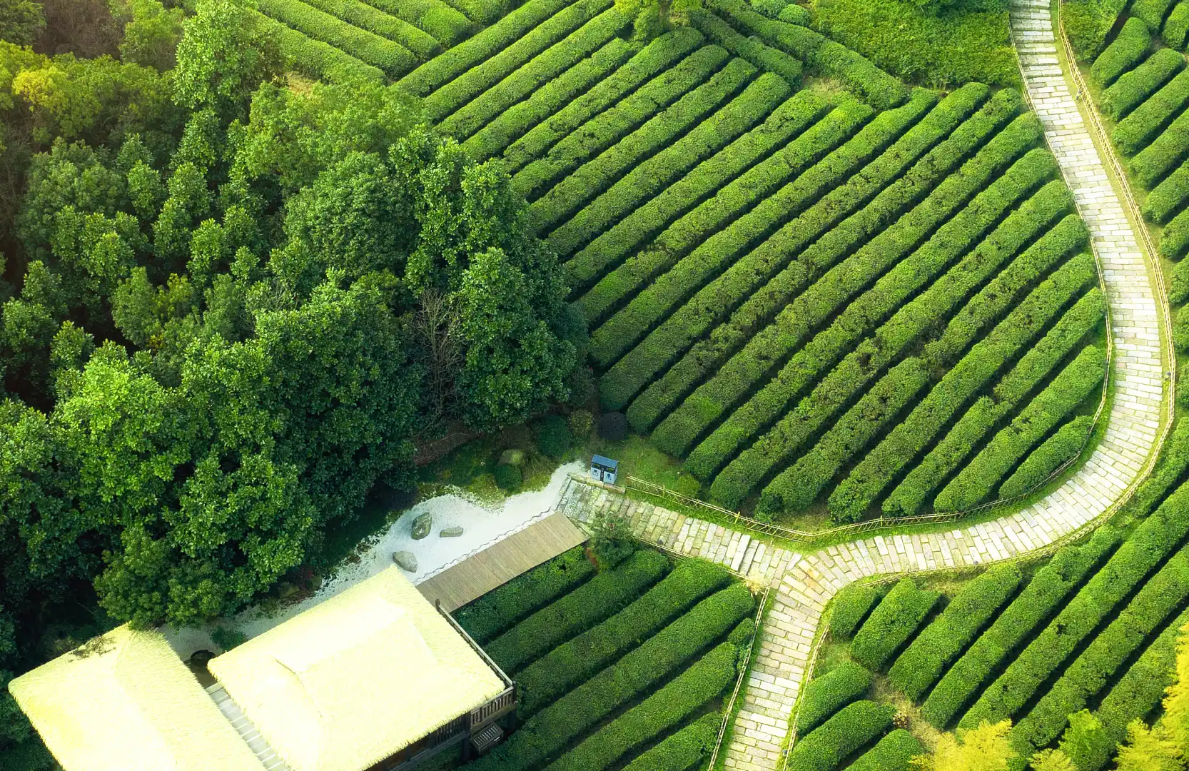 鄰近湖州吳越邱城遺址文化園的酒店