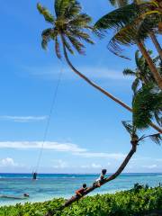 Taveuni Island