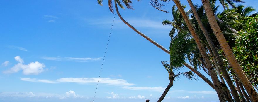 Taveuni Island