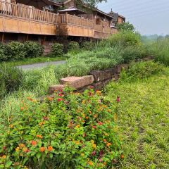 Ahnluh Guantang · All-Day Restaurant User Photo