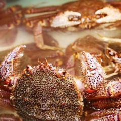 八協海味張用戶圖片