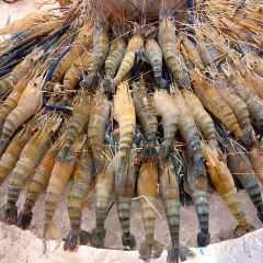 Kodtalay Seafood Buffet 여행 사진