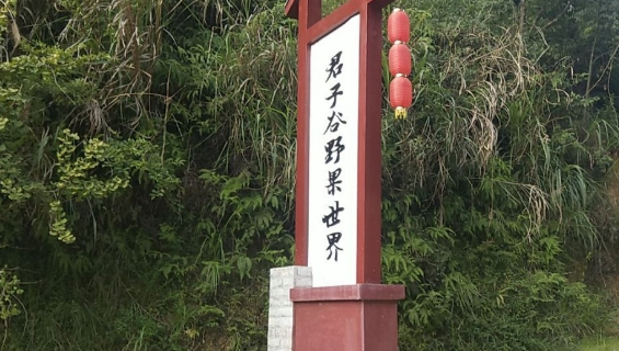 Chongyi