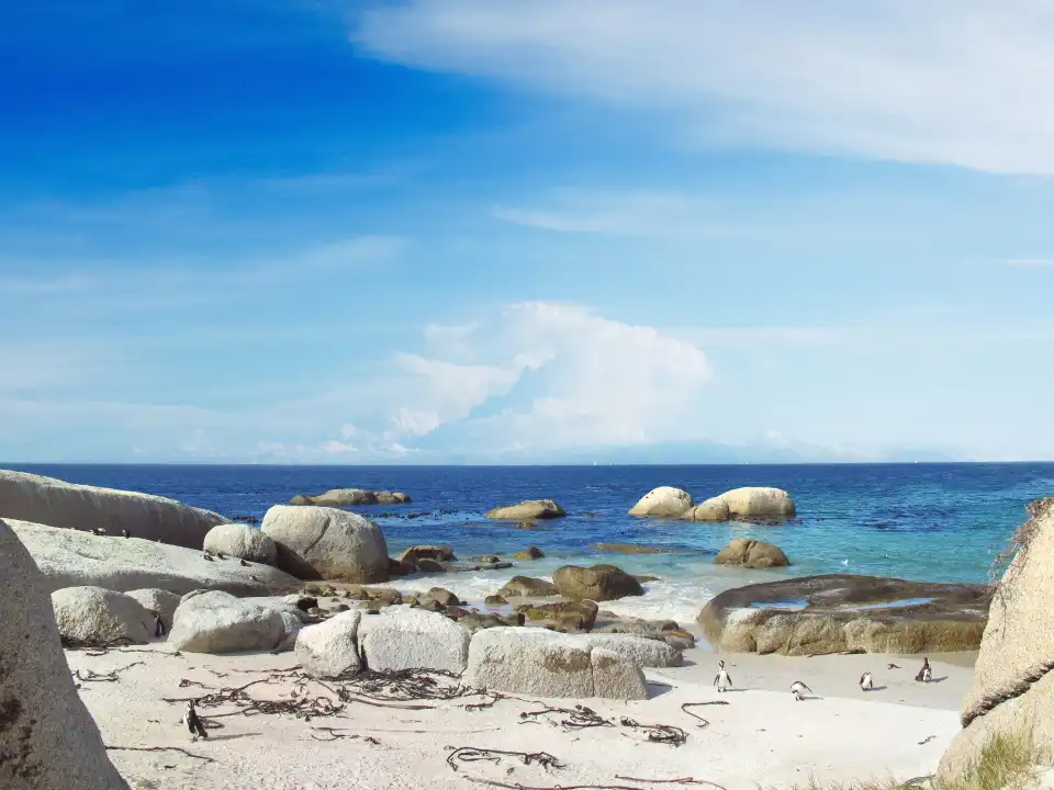 2_Boulders Beach