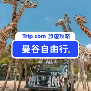 【2026 曼谷旅遊】一篇文章搞懂曼谷交通/景點/住宿/換錢