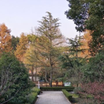 評論圖片 9