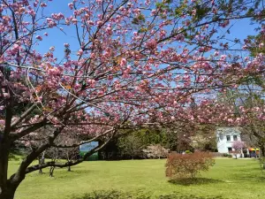 四明山国家森林公園