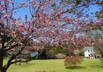 四明山國家森林公園