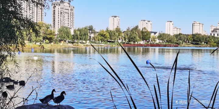 Dahu Park