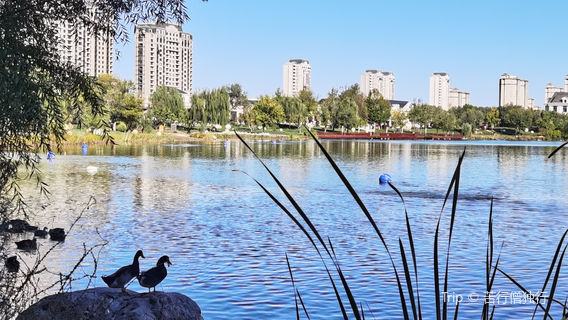 Гуань