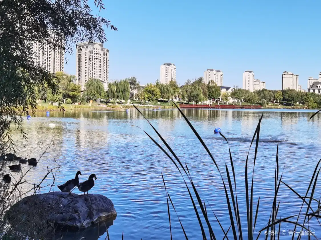 Hotels near Dahu Park