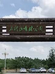 石龍山国家森林公園