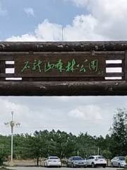 Shilongshan National Forest Park