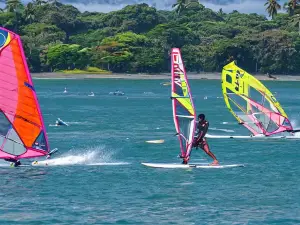 Suva Harbour Windsurfing