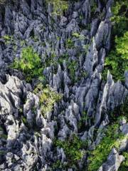 Xian'an Stone Forest