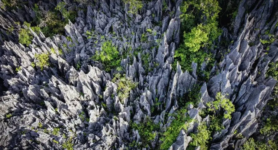 Xian'an Stone Forest