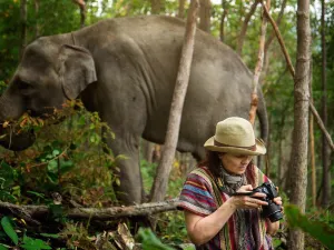 Elephant Jungle Sanctuary Chiangmai