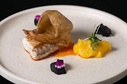 Terra - Contemporary Spanish Cuisine