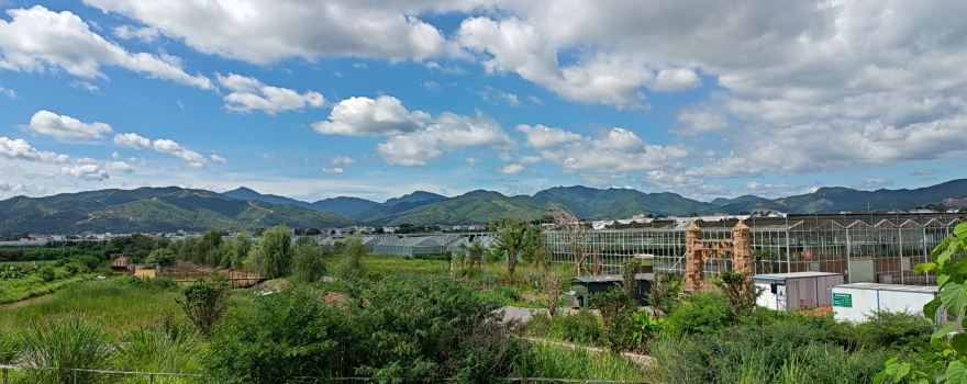 潭頭村