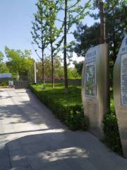 Jinyang Street Park