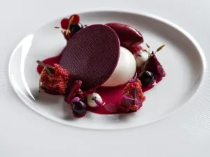 Borkonyha WineKitchen