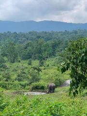 Tholpetty Wild Life Sanctuary