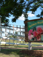 Golden Park Retreat Goovigen