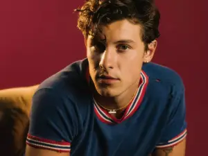 Shawn Mendes - On The Road Again